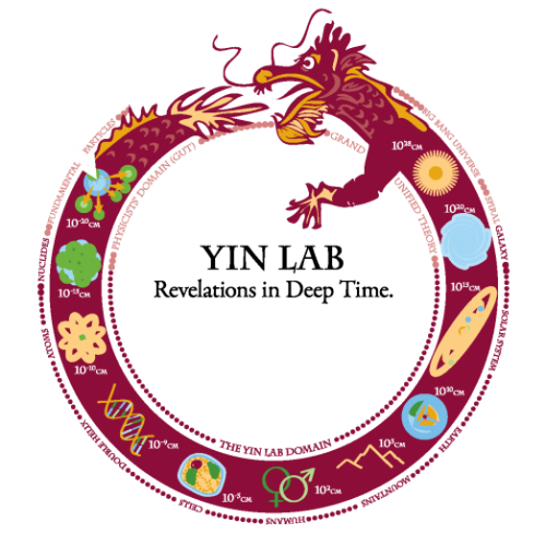 Yin Lab Logo_32inx32in-01-01